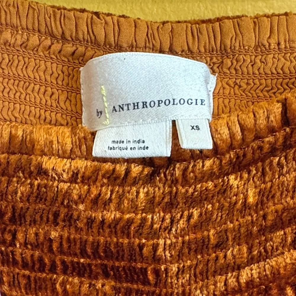 Anthropologie Rust Floral-Embroidered Velvet Joggers - Picture 2 of 6